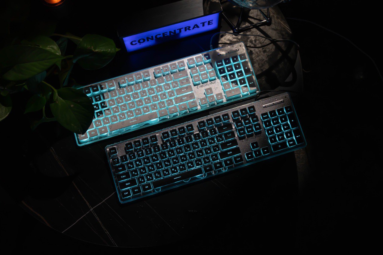 Проводная мембранная клавиатура Cyberlynx IP104