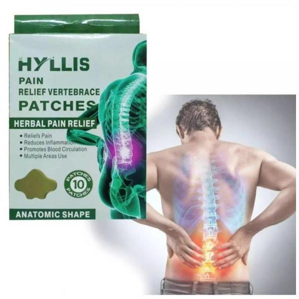 Пластыри для спины обезболивающие Hyllis 10 шт